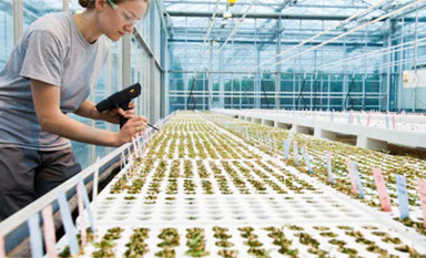 ExcellenceThroughStweardship-2