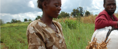 FreeToLeaveAndReturn-1