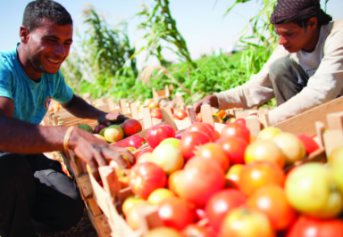 GlobalProcurementResponsibleBuyers-2