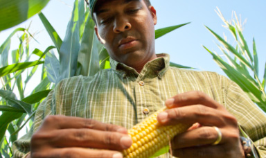 ImprovingFarmersLives-2