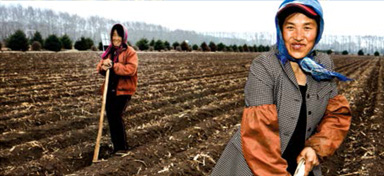 IntegratingSustainability-1