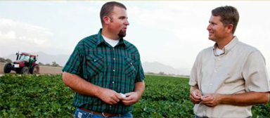 IntegratingSustainability-3