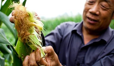 MonsantoHumanRights-2