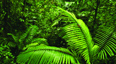 OurPartnersMakeUsBetter-1