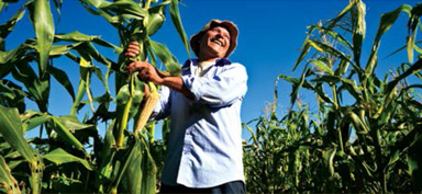 SustainabilityStrategyCouncil-1