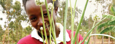 SustainableYieldPledgeAwards