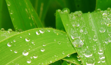 TheChallengeOfWater-1